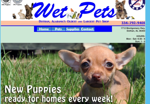 Wet Pets on PTD